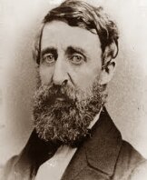 Торо Генри Дэвид - афоризмы, цитаты, высказывания, фразы